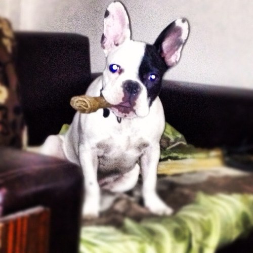 mapos12's profile picture. 