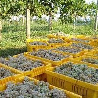 Mason Dixon Wine Trl (@masondixonwine) 's Twitter Profile