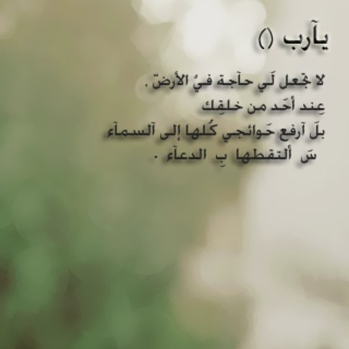 Cherry_505's profile picture. *