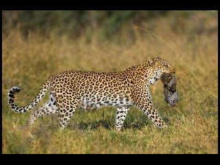 Laruschka's profile picture. Proud Mom to Dylan