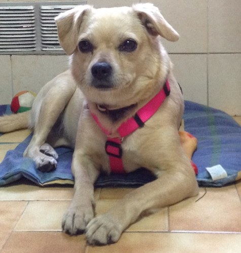 EscancianoMarta's profile picture. 