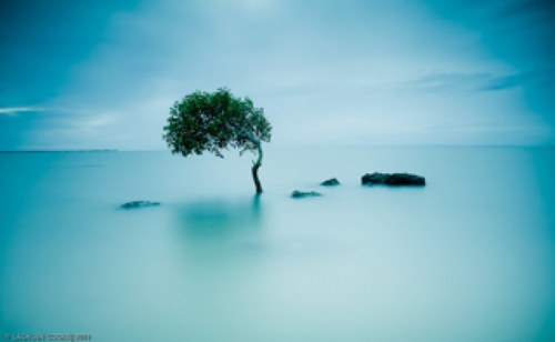 CostruzioniV's profile picture. 