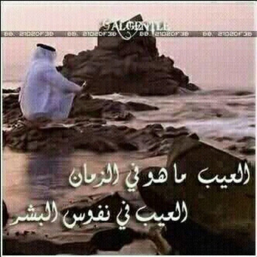 gick8981's profile picture. 