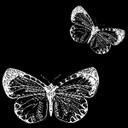 Kay Law - @koneko81 - Twitter