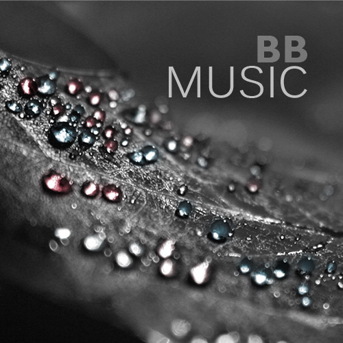 BBSoundRoom's profile picture. 