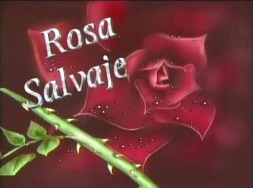 Мой любимый мексиканский сериал ДИКАЯ РОЗА!!! ROSA SALVAJE!!!