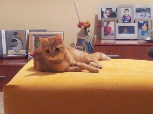 _antonella66's profile picture. 