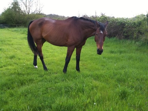 AmandaAdams41's profile picture. 