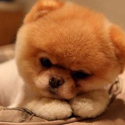 =) jjjjjj