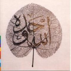 شر البلاد بلادٌ لا صاحب لك بها