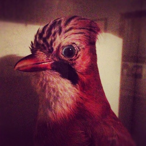 AquakatKat's profile picture. 