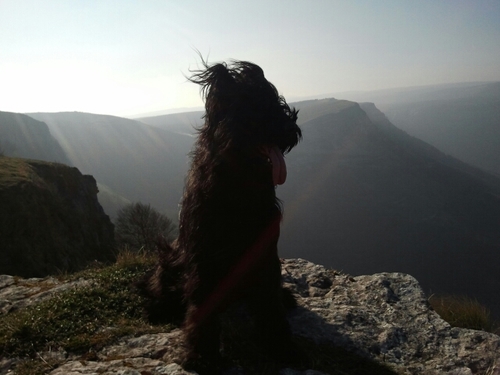 edgarguinea's profile picture. 