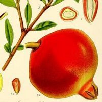 Charming Hostess (@charminghostess) 's Twitter Profile Photo Charming Hostess (@charminghostess) 's Twitter Profile Photo