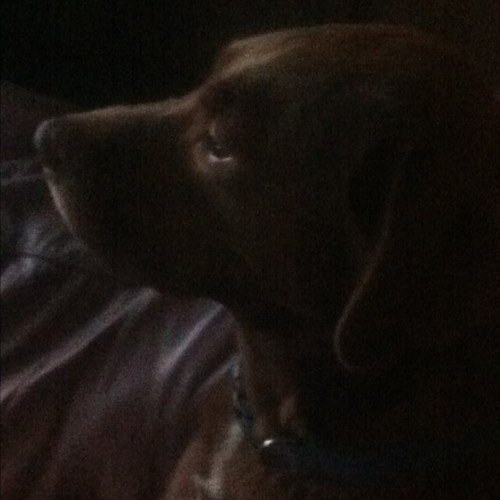 savannahga2's profile picture. 