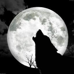 freehunter68's profile picture. Lebensfrohe Natur