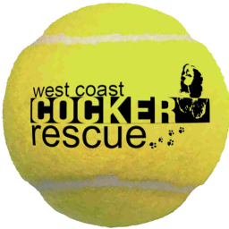 WestCoastCocker's profile picture. West Coast Cocker Rescue is a BC Society dedicated to rescuing cocker spaniels from high kill shelters in LA and rehoming them in and around the Vancouver area.