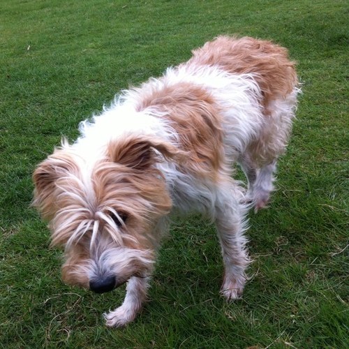 stetsonsmutt's profile picture. A young theatre company, essentially York graduates in London. @laurencegcook doing the tweeting.