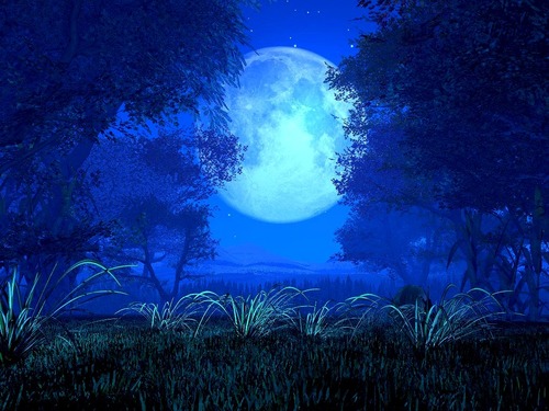 夜月 スマホ没シュートなう Greenskymorning Twitter 夜月 スマホ没シュートなう Greenskymorning Twitter