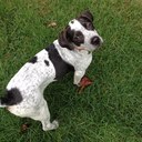 Lee Ritsema - @ritz88_ritz - Twitter