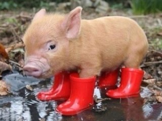 sandia1908's profile picture. 