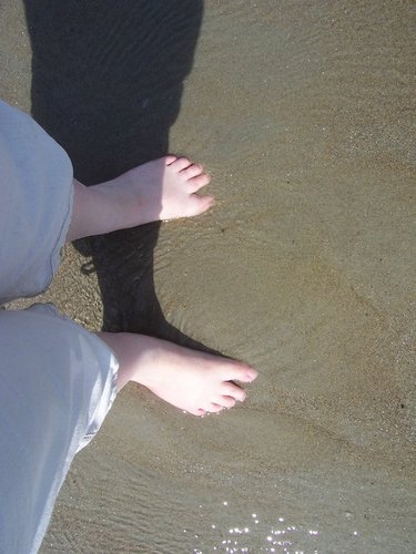 mlissjt's profile picture. senior library technician, avid book reader, red sox , patriots and bruins fan,