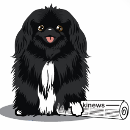 The Internet Newspaper: All About Your Pekingese
http://t.co/TsohDWWV
http://t.co/0Dcy7Hbr
http://t.co/2PYnTy1H