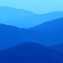 omar vivas - @AmorVivas - Twitter