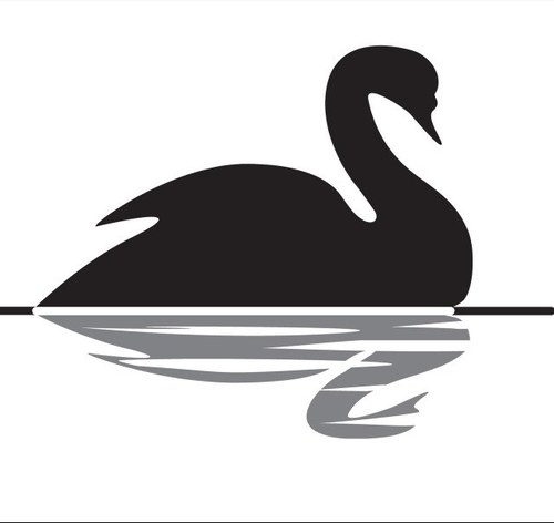 FckingSwans's profile picture. The fine inhabitants of 33 & 89 Brudenell road..