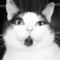 Thomas (REDACTED) 🇨🇵🇪🇺🇺🇦🇬🇪 (@paranoptimiste) 's Twitter Profile