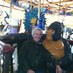 Bob Kiser (@viva_boulder) Twitter profile photo