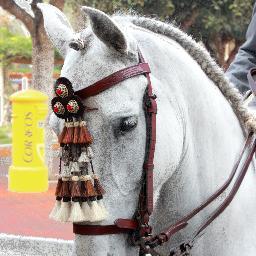 Amante de los caballos, la música y aficionado a la fotografía y la pesca. Siempre se puede dar más. ;). http://t.co/rVSA84CYYR