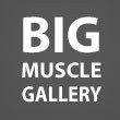 Bodybuilders, Powerlifters and Stongman Competitor's Profiles and Photo Gallery.