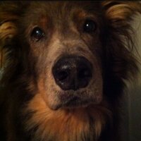 Patrick O'Donoghue (@pdiddyod) 's Twitter Profile