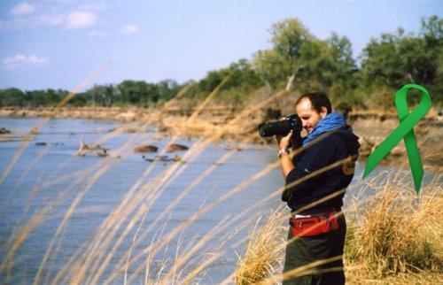 fdollfus's profile picture. Swiss indipendent Asset Manager