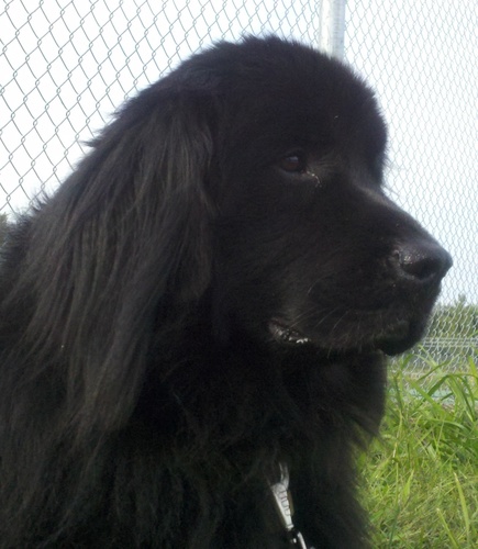 melody7095's profile picture. 