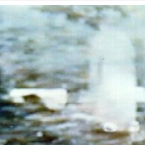 Gdm021803Pines's profile picture. Im daniel i love pizza lab rats kickn it,no school days and living were i do