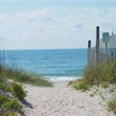 AlexandriaPaine's profile picture. 