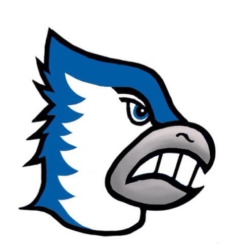 Director of Administrative Services, Bondurant-Farrar CSD. Home of the Bluejays!