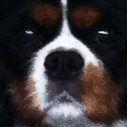 lisadell12's profile picture. Mama and Cavalier King Charles Owner