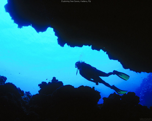 oldkee's profile picture. 