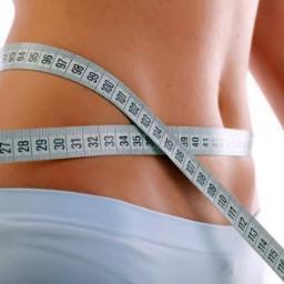 Review the most popular diet plans. Compare and find the diet thats right for you.