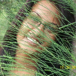 deepika29shar's profile picture. hi, i am a budding journalist working with Times Group.