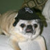 Kathy (@kathyrogo) Twitter profile photo Kathy (@kathyrogo) Twitter profile photo