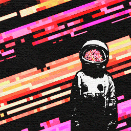 koalaclimbs's profile picture. wrek, wrek everywhere.