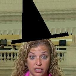 DirtDishnDebbie's profile picture. #FUBO #FUDWS - My lies embarrass Floridians so much that hanging chads have practically been forgotten. VIDEO http://t.co/h4SOPkIM