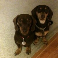 Conservative (@motejanie) 's Twitter Profile Photo