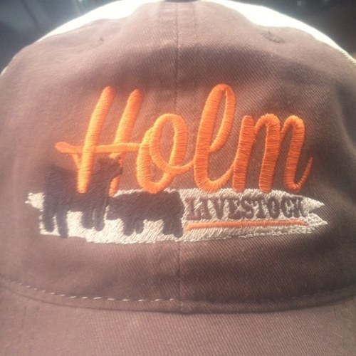 kaceyholm's profile picture. I am the Dickey County extension agent located in Ellendale, nd.  I currently run some cows and some show pigs with my parents and wife.