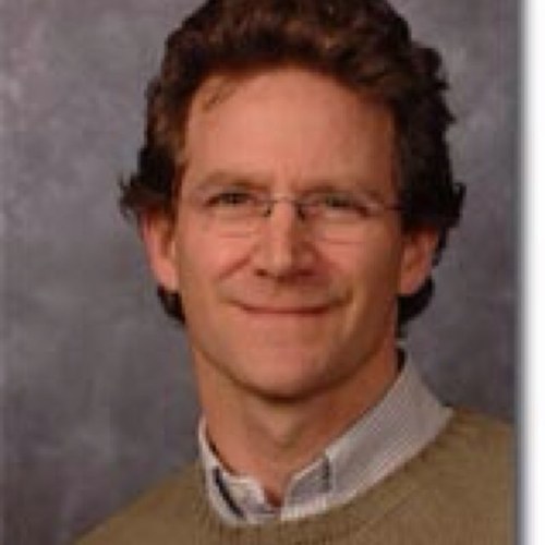 Professor of Psychology at The New School for Social Research, 
personal website: https://t.co/DV3S7MKSoN
Editor, Attachment & Human Development