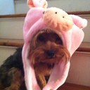 Daisy Booth - @The_Real_Beb - Twitter