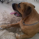 Steven Gratton - @StevenAkimo - Twitter